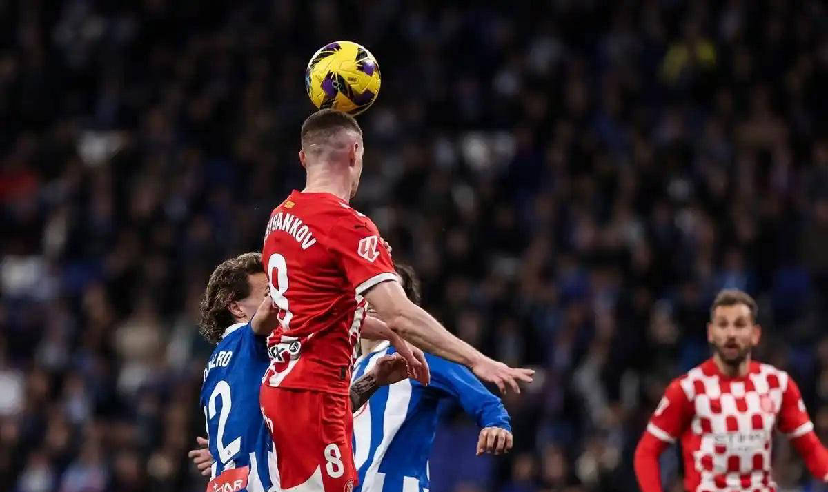 但引进了一, image 但引进了一, image